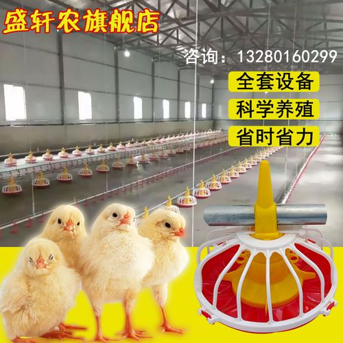 养殖场自动化设备鸡用猪用自动料线下料机鸡用自动料线料盘料塔